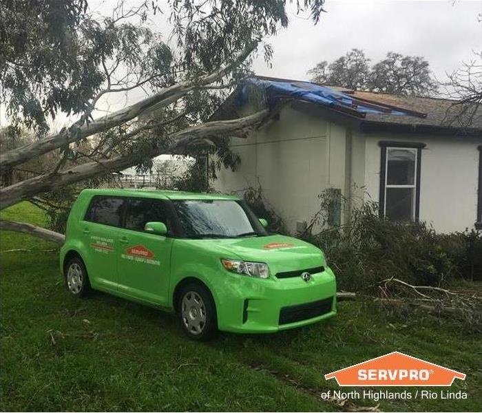 SERVPRO of North Highlands / Rio Linda Downed Tree