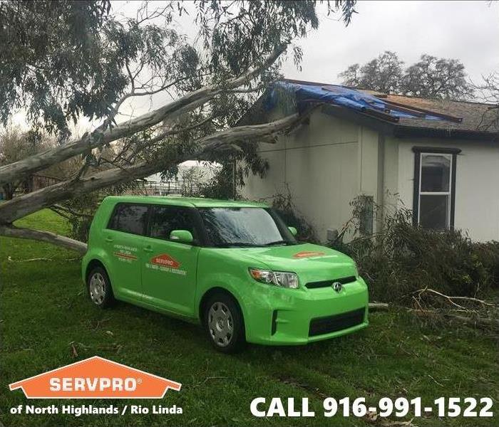 Local Sacramento home after this tree fell as a result of strong wind conditions. 